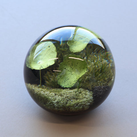 amabro / EVER LEAF BALL