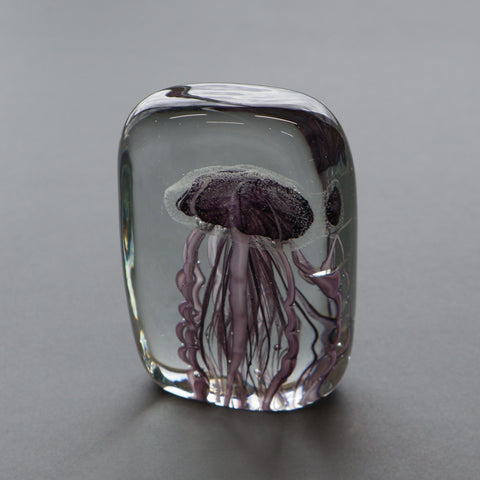 HERE by DETAIL / Jellyfish Paper Weight
