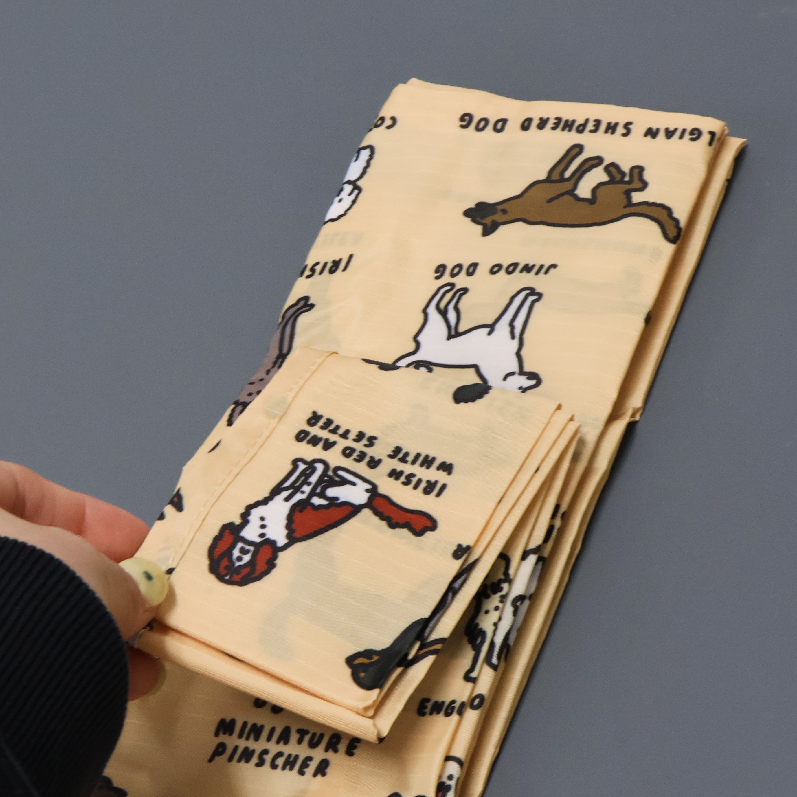 BAGGU バグー　柴犬 BAGGU / Standard GRAPHIC DICTIONARY – Neueオンラインストア｜もっと