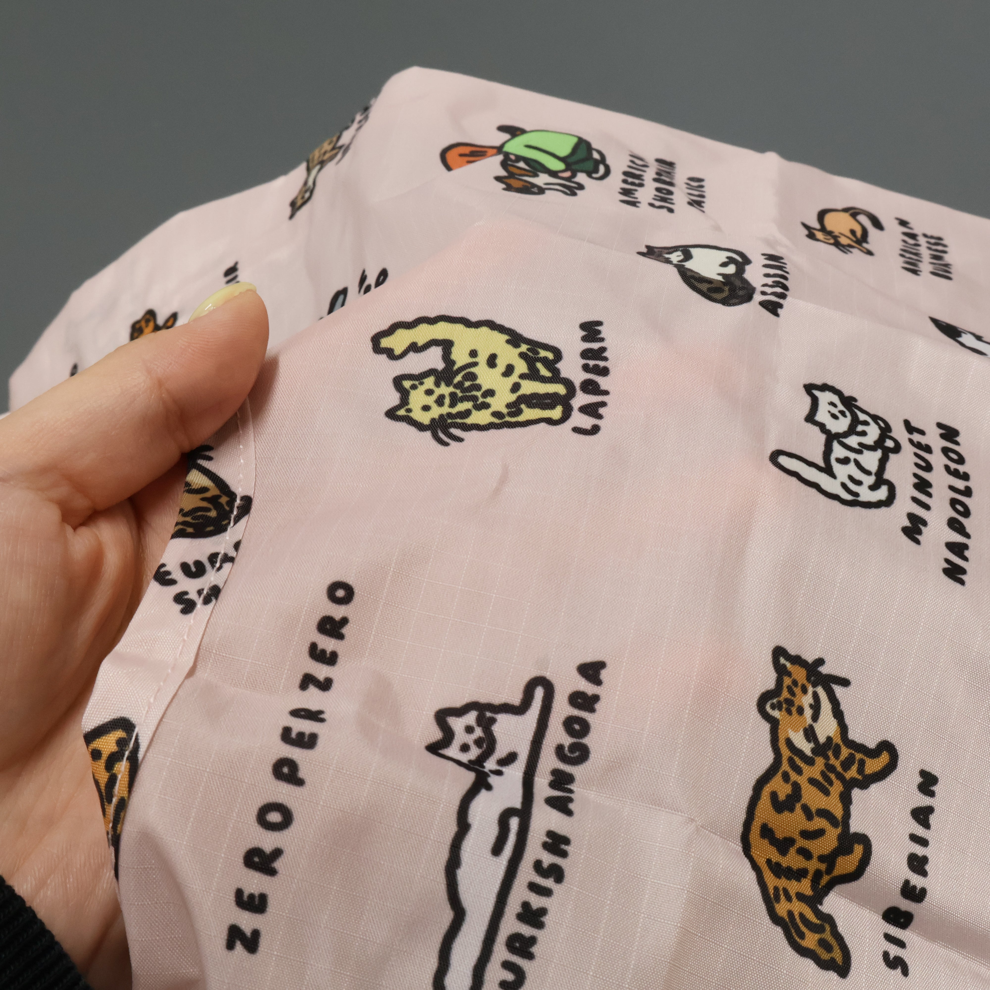 BAGGU / Standard GRAPHIC DICTIONARY – Neueオンラインストア｜もっと