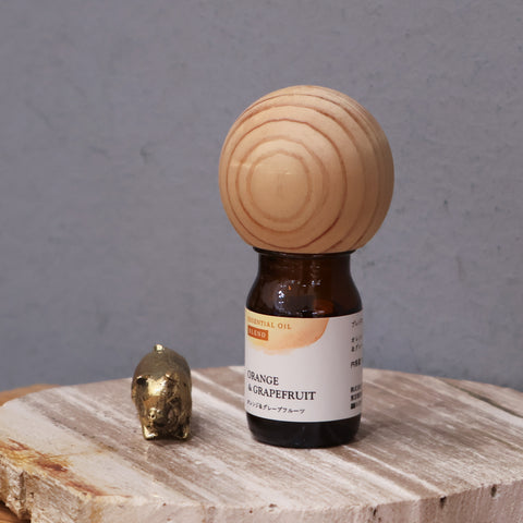 ［ がんばるあの子へ ］スタッフおすすめセット