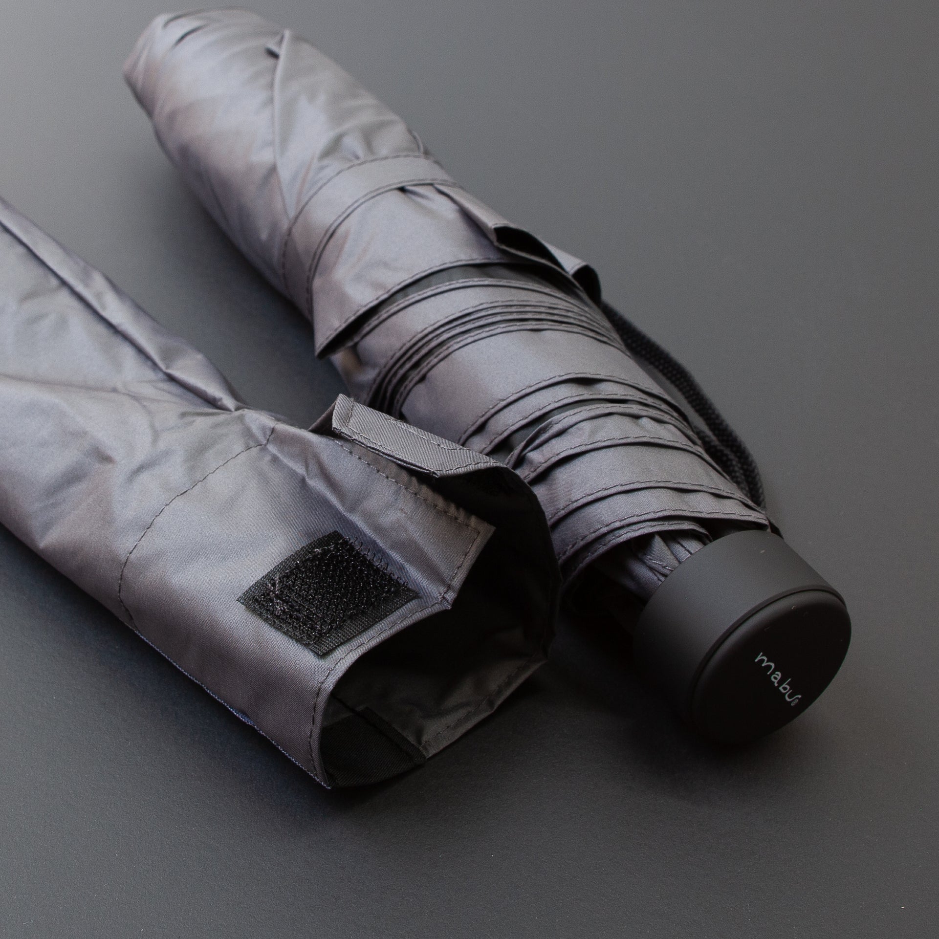 65 ブセファンドラ pygmaea var marble6株まとめ袋 65 ブセファンドラ pygmaea var marble6株まとめ袋 65