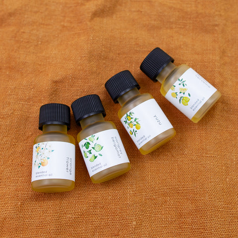 ［ がんばるあの子へ ］スタッフおすすめセット