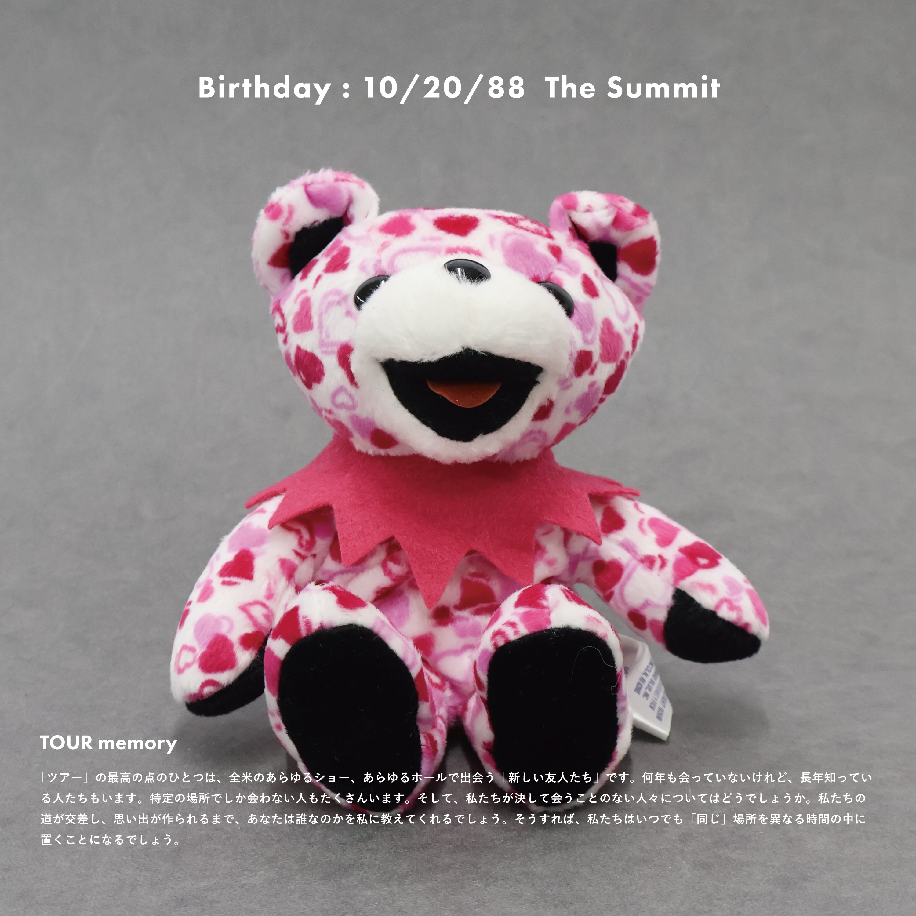 GRATFUL DEAD / dead stock DEAD BEAR – Neueオンラインストア｜もっと